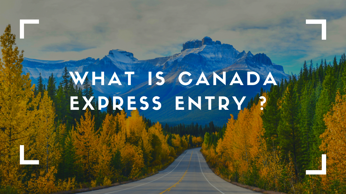 What Is Canada Express Entry?